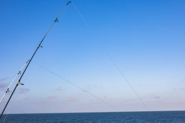 canne da pesca sull'oceano atlantico a ocean city, maryland in autunno - maryland fishing atlantic ocean sea foto e immagini stock