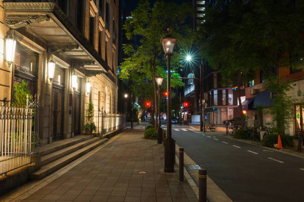 istock Mikkahashi-suji at night 1181737501