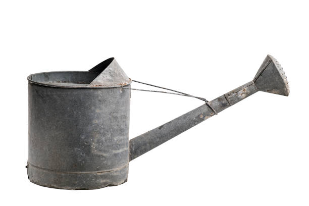 istock watering can isolated on white 1181738483