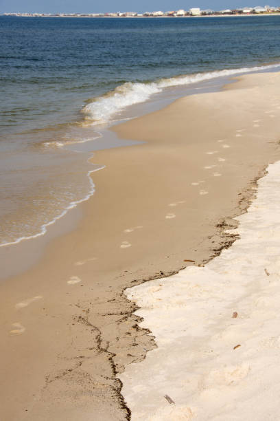 istock Footprints Along the Curving Shore 1181739407