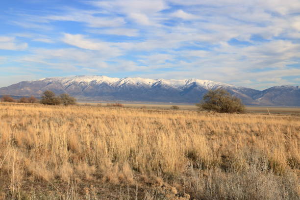 istock Dry grasslands at Antelope Island, Utah 1181741407