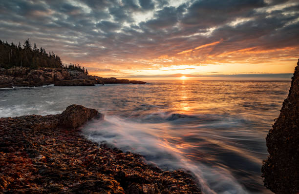 istock Acadia National Park 1181745031