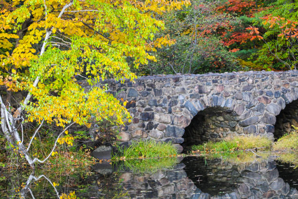 istock Stone bridge, maple forest in autumn, and reflections on lake 1181745370