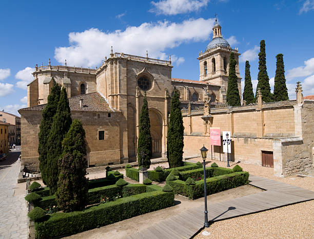 istock Cathedral at Ciudad Rodrigo, Spain 118174731