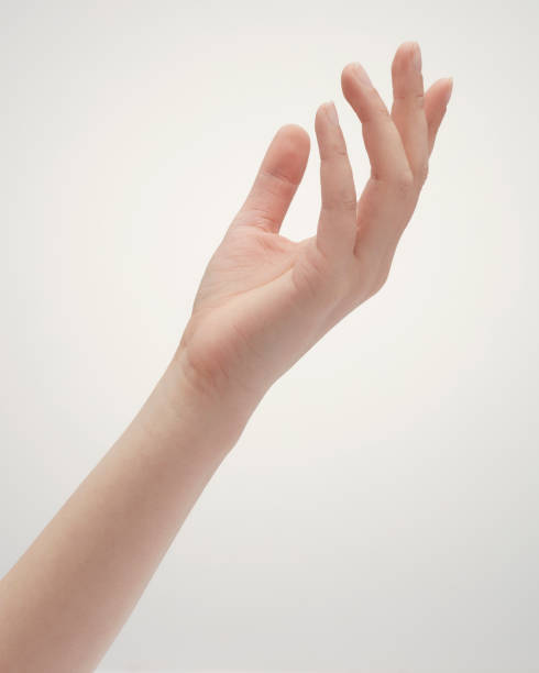 istock Collection of female hands poses 1181748567