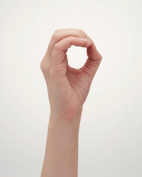 istock Collection of female hands poses 1181748719