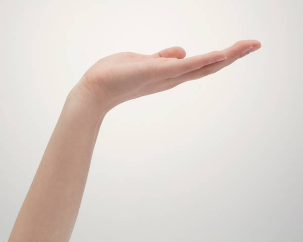 istock Collection of female hands poses 1181748749
