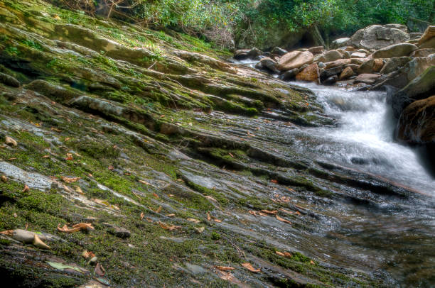 istock Creeks Along The Rocky Face 1181748760