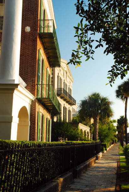 case di stato antebellum a charleston (carolina del sud) - day vertical palmetto south carolina foto e immagini stock