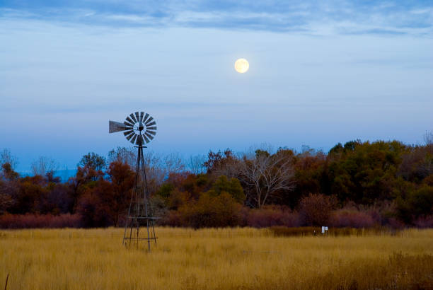 istock Windmill at dusk in field 1181749611