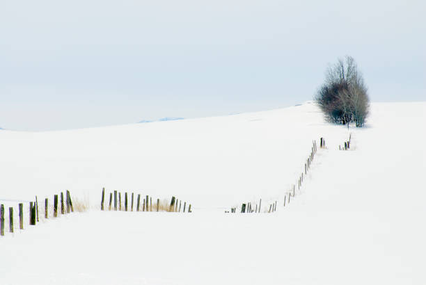 istock Fence line through a snowy field 1181749671