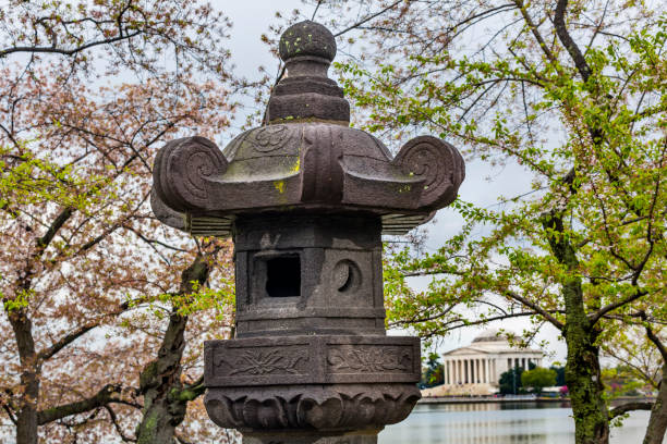 istock Japanese Lantern Cherry Blossoms Tidal Basin Jefferson Memorial Washington DC 1181757867