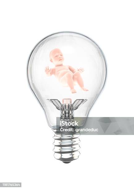 light bulb for baby chicks