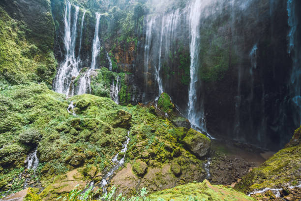 istock Inside the canyon of the Tumpak Sewu waterfall on Java Indonesia 1181765519