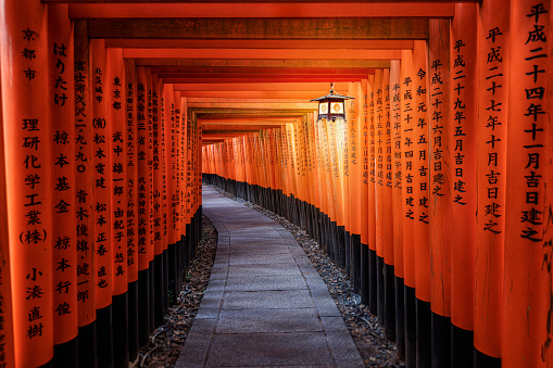 Fushimi Inari Shrine is one of the famous touristic places of Kyoto. It is well-known for having 1.000 toriis 