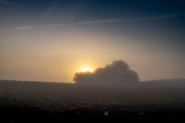 istock Early morning sunset on the field 1181773902