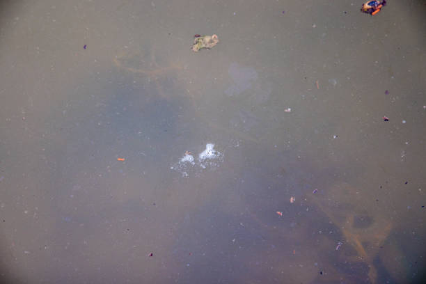istock image of water pollution,save water from pollution. 1181776125