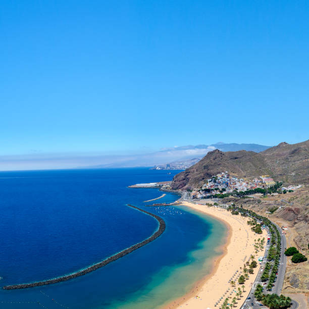 istock Tenerife landscape background 1181776896