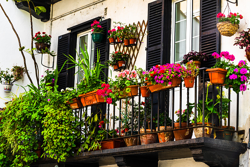 Mix of flowers on the balcony of a house.