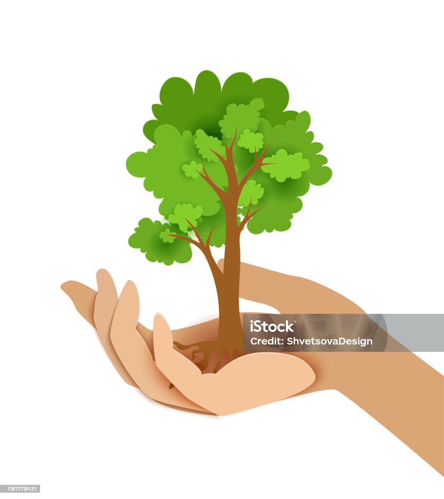 Paper Cut Style Female Hand Holds A Tree Save The Nature And Concern For  Ecology Concept Idea Stock Illustration - Download Image Now - iStock