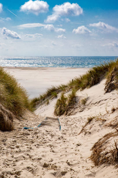 istock Path to the beach at Amrumer Lighthouse 1181785728