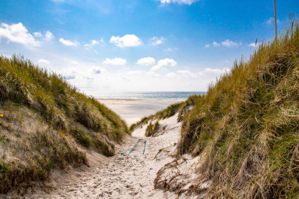 Path to the beach at Amrumer Lighthouse Path to the beach at Amrumer Lighthouse amrum stock pictures, royalty-free photos & images