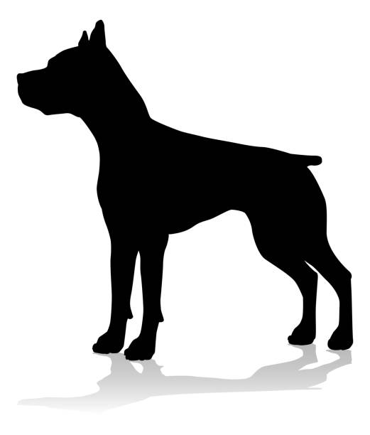 犬のシルエットペット動物 - american staffordshire terrier bull terrier terrier purebred dog点のイラスト素材／クリップアート素材／マンガ素材／アイコン素材