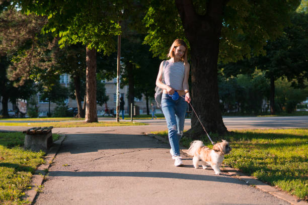 istock Woman with dog in a park 1181789370
