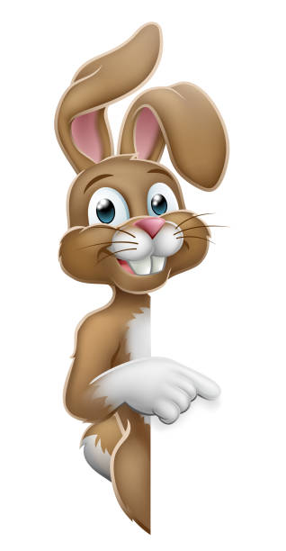 ilustrações, clipart, desenhos animados e ícones de coelho de coelho de easter que aponta desenhos animados no sinal - frame smiling white background human hand