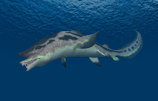 istock Prehistoric shark Edestus 1181791870