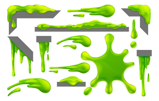 ilustrações, clipart, desenhos animados e ícones de slime verde goo bagunçado blobs splats gotejps e gotas - bogey