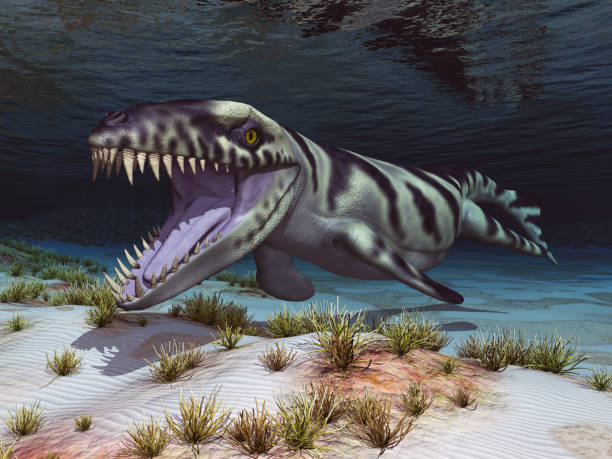 istock Prehistoric crocodile Dakosaurus 1181794570