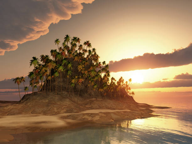 istock Tropical island at sunset 1181795391