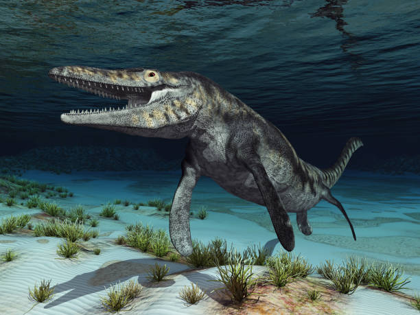 mosasaur tylosaurus - mosasaur ilustracje zdjęcia i obrazy z banku zdjęć