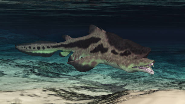 istock Prehistoric shark Edestus 1181796934