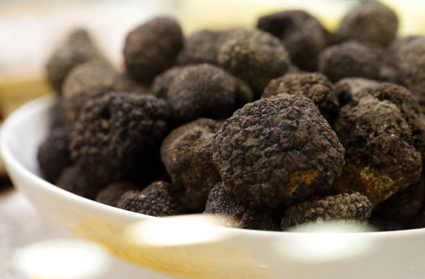 istock black and white truffle mushroom 1181799143