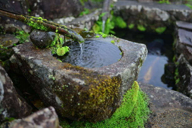 istock travel in Japan 1181799190