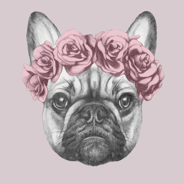 illustrations, cliparts, dessins animés et icônes de verticale de français bouledogue avec la couronne florale de tête. illustration dessinée à la main de crabot. - dog wallpaper humor retro revival