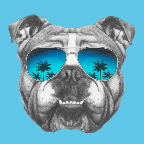 Vector illustration of Portrait of English Bulldog with sunglasses. Hand-drawn illustration of dog.