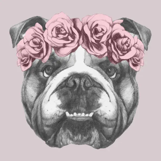 Vector illustration of Portrait of English Bulldog with floral head wreath. Hand-drawn illustration of dog.