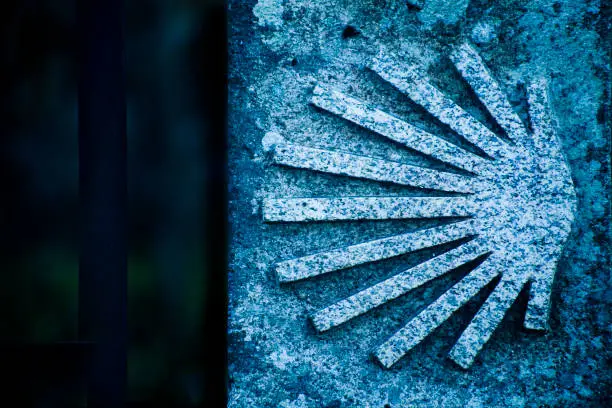 Photo of Camino de Santiago, its symbol, pilgrims scallop shell carved on stone.