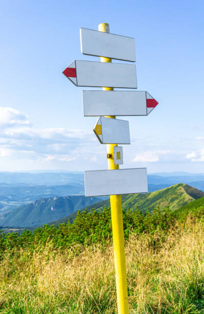 istock Blank signpost on a sunny day with beautiful mountains, blue sky and clouds. 1181803480