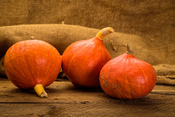 Red Kuri squashes Red Kuri squashes on rustic wooden table chan buddhism photos stock pictures, royalty-free photos & images