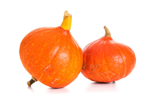 istock Red Kuri squashes isolated on white 1181804842