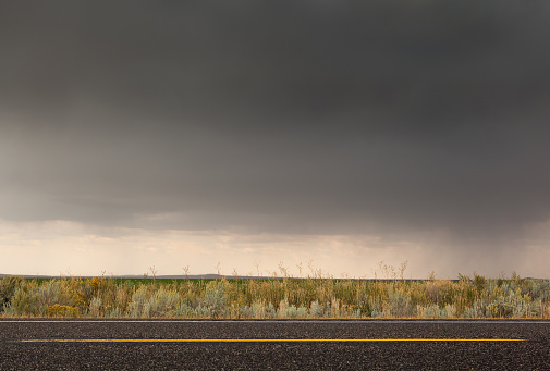 High resolution highway road side vegetation under dark storm clouds, sunlight and showers in the distant horizon