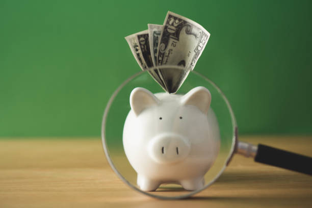 istock Future for Money savings,investment 1181807392
