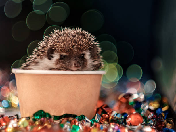 istock Christmas card with a cute little hedgehog. 1181807432