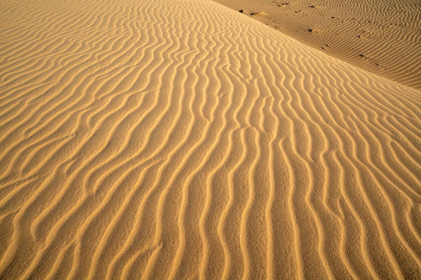 Nam Cuong Sand Dunes at Phan Rang Desert