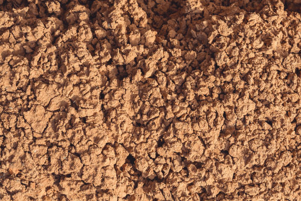 istock Texture of cracked earth 1181807862