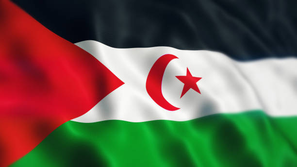 Western Sahara Flag Depth Of Field 3d render Western Sahara Flag (Depth Of Field) western sahara stock pictures, royalty-free photos & images